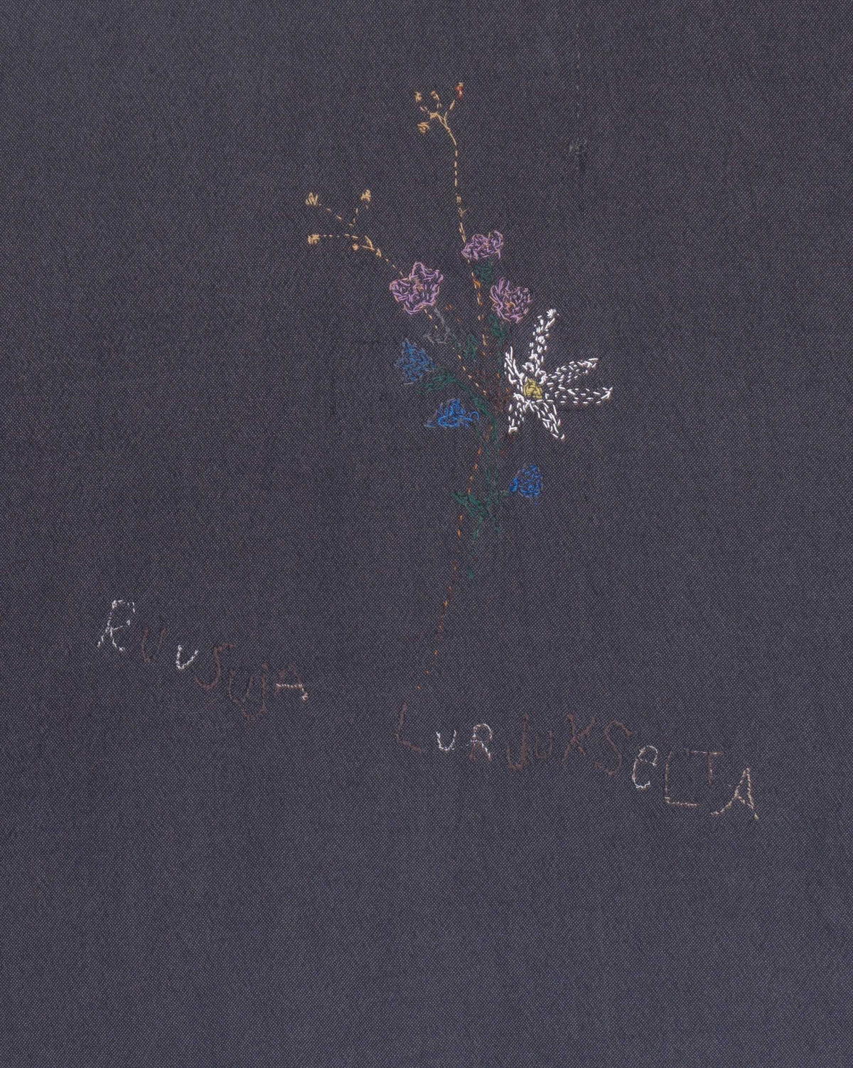 Nosapluna Light Bomber with Sketch